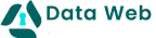 Data Web Security Logo 2