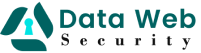 Data Web Security Logo